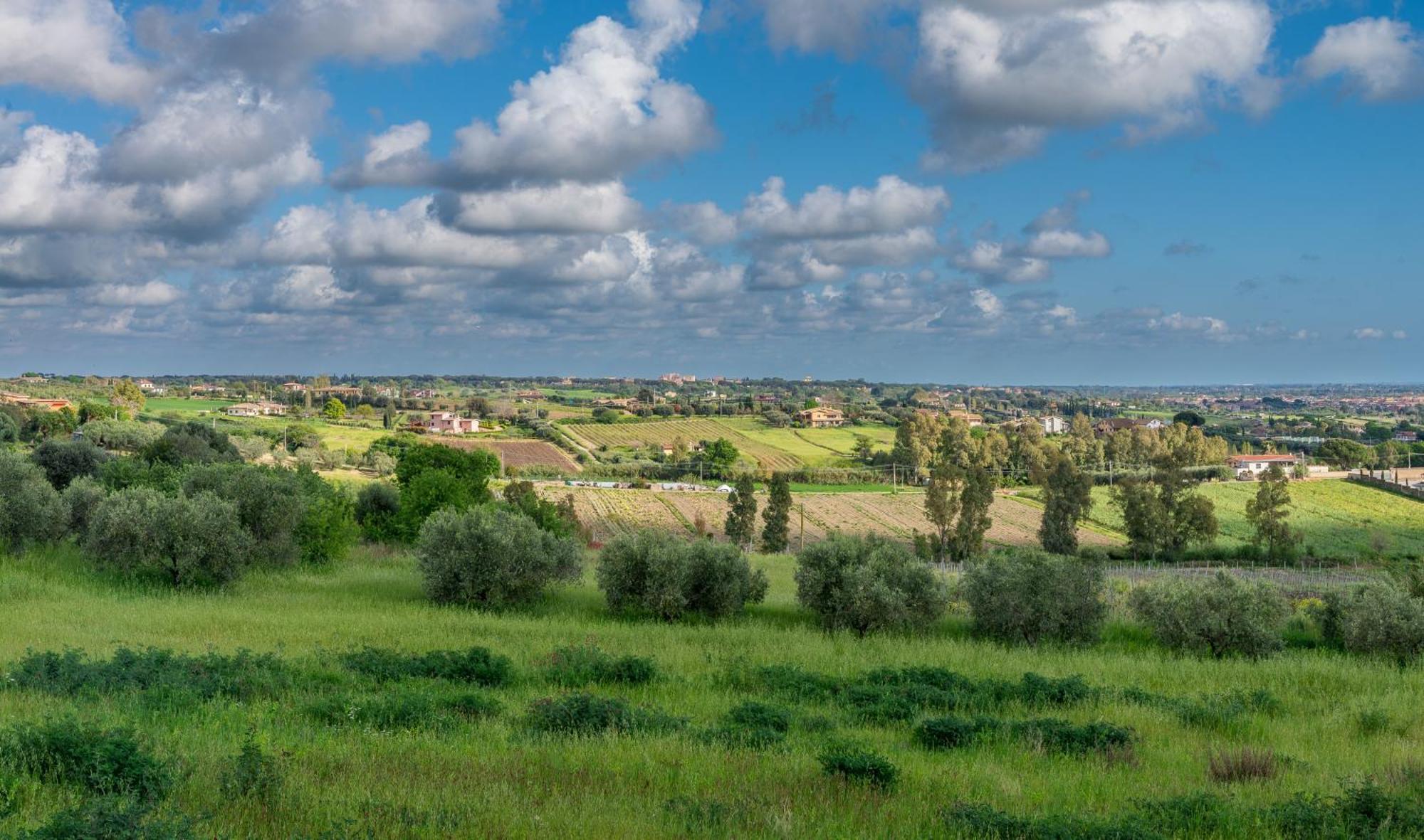 Villa Gli Eucalipti Cerveteri Bagian luar foto