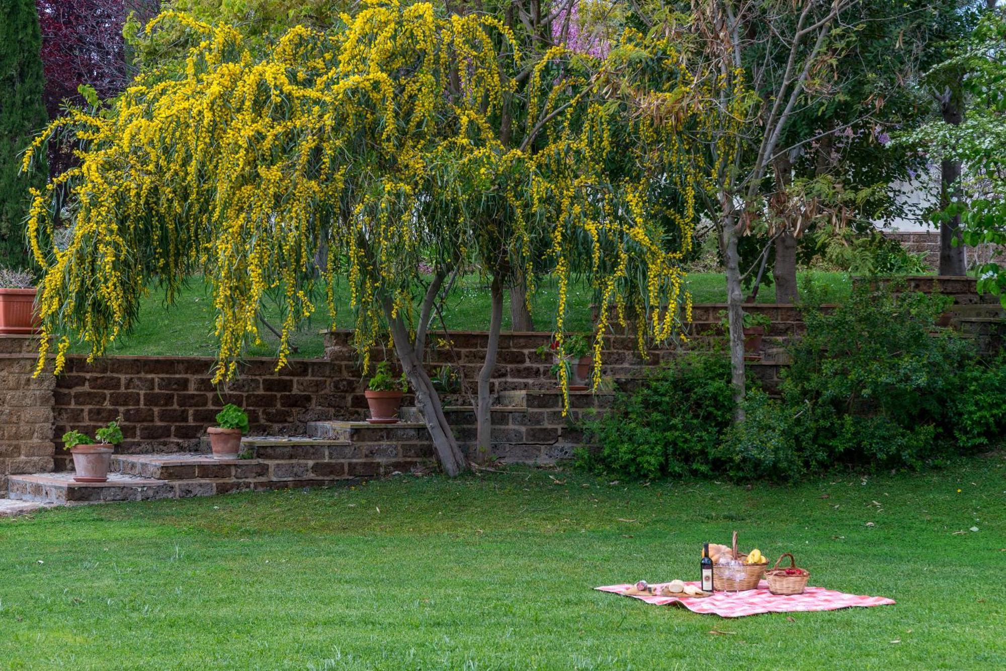 Villa Gli Eucalipti Cerveteri Bagian luar foto