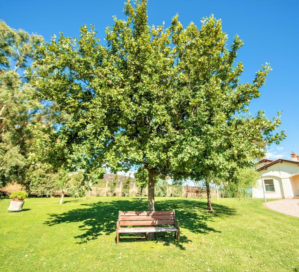 Villa Gli Eucalipti Cerveteri Bagian luar foto