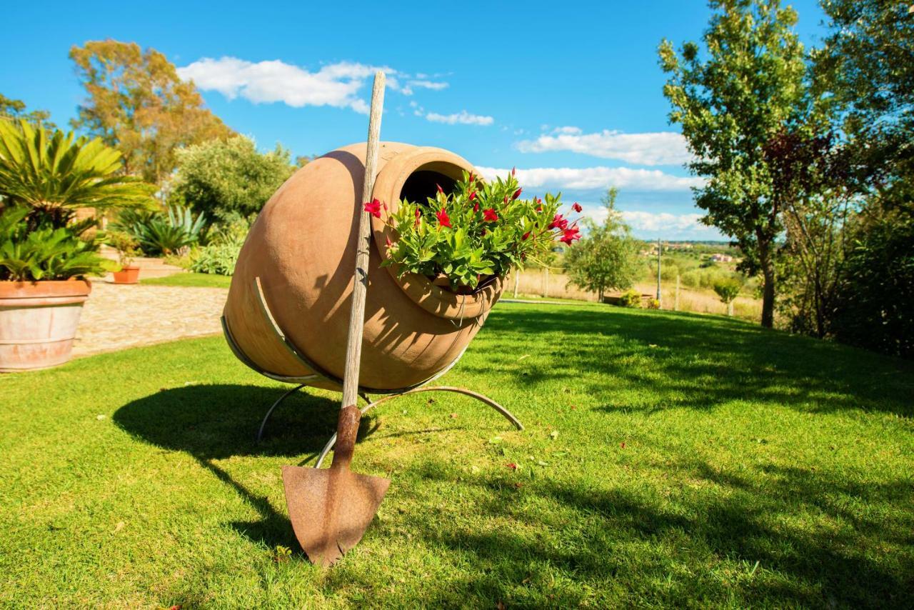 Villa Gli Eucalipti Cerveteri Bagian luar foto